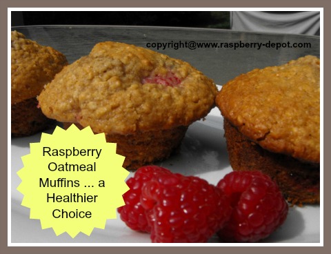 Homemade Raspberry Oatmeal Muffins - a Healthier Raspberry Muffin Recipe