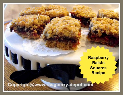 Homemade Raspberry Raisin Squares Recipe