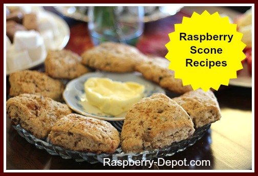 Homemade Raspberry Scone Recipes