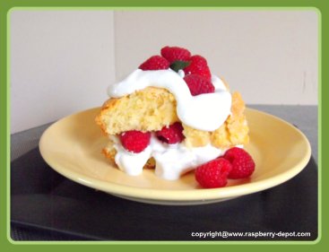 Best Raspberry Shortcake