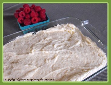 Making Berry Shortcake