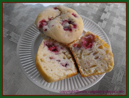 Fresh Raspberry Recipe Muffins Homeamde