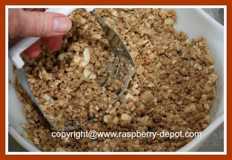 Recipe for Topping for Fruit Crumble without Oatmeal