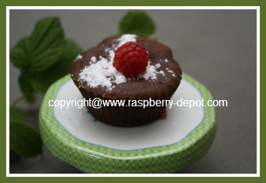 Recipe for Gluten Free Chocolate Cupcakes