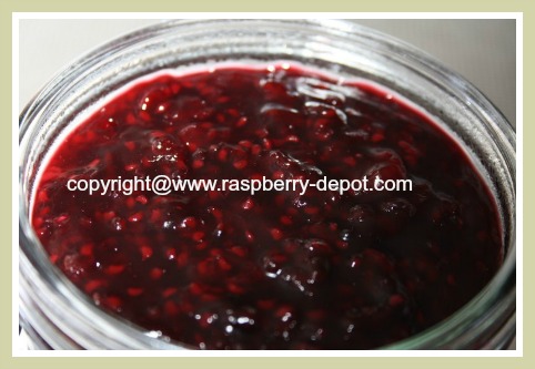 Raspberry Sauce Syrup with Seeds In