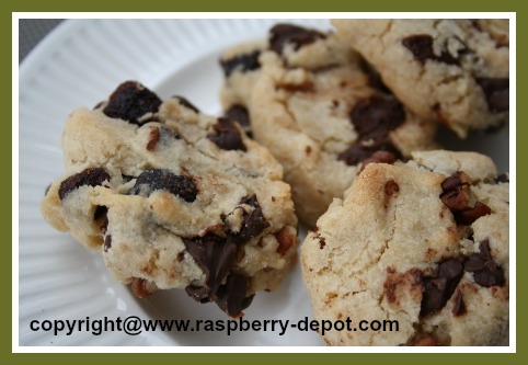 Dried Raspberries Recipe Raspberry Chocolate Chip Cookies