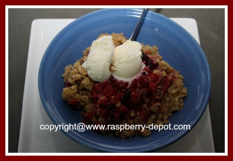 Raspberry Crumble with Wild Red Black Purple or Yellow Raspberries