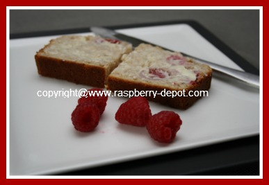 Slice of Homemade Raspberry Fruit Bread