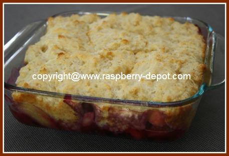 Fruit Dessert without Sugar