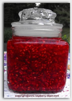 Recipe for Sugarless Raspberry Jam