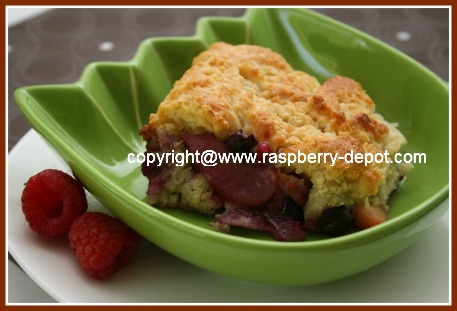 Sugar Free Mixed Berry Cobbler Dessert Image