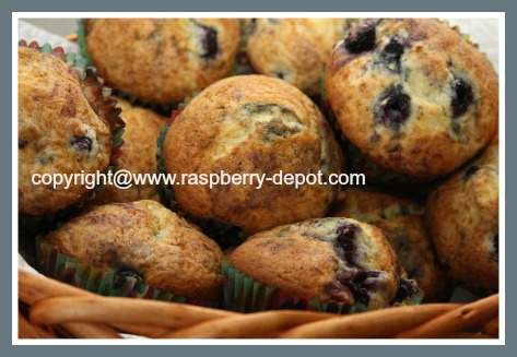 Wild Raspberry Recipe - Wild Raspberry Muffins 