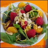 Thanksgiving Day Fruit Salad